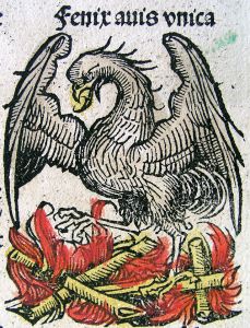 fenix